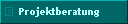 Projektberatung